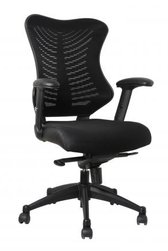 <img src="Simon J Mack Office Furniture – Office Chair - Spine Mesh Chair.jpg" alt="Spine Mesh Chair" />
